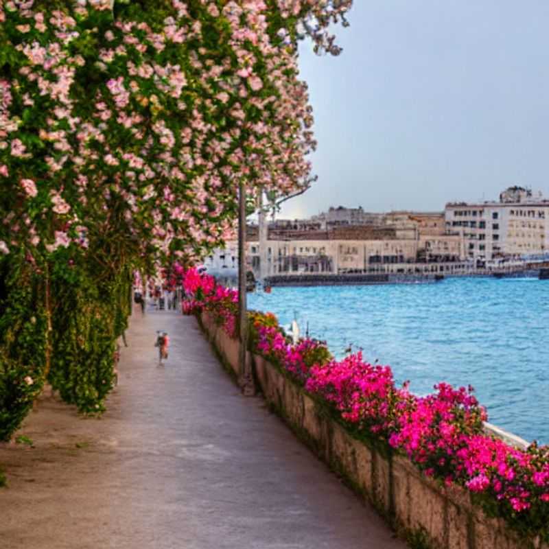Is Taranto, Italy a Spring Break Gem? (A Maritimes Tours Guide's Perspective)<h3>Taranto in Spring: Sun, Sea, and...Maybe Some Closed Doors? (Planning Your Trip)</h3><h3>Springtime in Taranto: Navigating Potential Closures & Discovering Hidden Charms</h3><h3>Taranto Spring Break: Embrace the Unexpected! (A Guide to Flexible Travel)</h3><h3>Dreaming of Taranto? What to Expect During Spring Maintenance Season</h3><h3>Your Spring Break in Taranto: A Guide to Making the Most of It, Even with Some Closures</h3><h3>Taranto Spring Surprise: Discovering the City's Beauty Beyond the Tourist Trail</h3><h3>Taranto's Springtime Secrets: Exploring While Some Attractions Take a Break</h3><h3>Spring in Taranto: A Local's Guide to Avoiding Crowds and Finding Open Gems</h3><h3>A Springtime Escape to Taranto: Flexibility, Fun, and Fantastic Discoveries</h3>