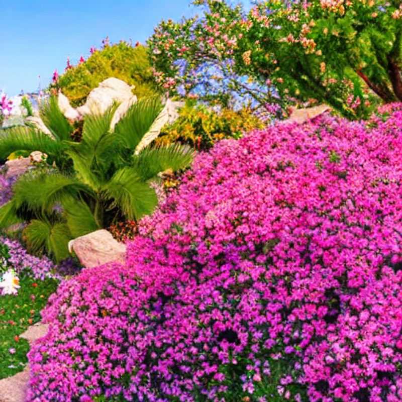 Is Paphos, Cyprus Perfect for Your Spring Break? (Even with Shoulder Season Adjustments!)<h3>Paphos in Spring: A Relaxed Escape with Fewer Crowds</h3><h3>Shoulder Season Secrets: Unveiling Paphos' Charm in Spring</h3><h3>Spring in Paphos: Discovering Hidden Gems & Local Delights</h3><h3>Beyond the Beaches: Spring Adventures in Paphos, Cyprus</h3><h3>Paphos Spring Break: Sun, Serenity, and a touch of adventure</h3><h3>Planning Your Paphos Spring Break: What to Expect & How to Prepare</h3><h3>Embrace the Off-Season: A Unique Paphos Spring Getaway</h3><h3>Springtime in Paphos: A Guide to the Best Experiences</h3><h3>Paphos in Spring: A Local's Perspective on the Season</h3>