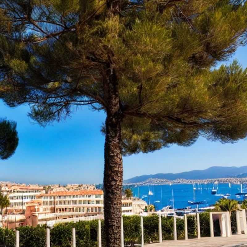Exploring Cannes on Spring Break: Your Transportation Guide<h3>Cannes in Spring: Smooth Sailing with Public Transport</h3><h3>Getting Around Cannes: Accessibility for Everyone</h3><h3>Cannes Spring Break: Seamless Travel for All Abilities</h3><h3>Unlocking Cannes: Transportation Options & Accessibility Tips</h3><h3>Cannes Spring Break: Navigating the City with Ease</h3><h3>Your Spring Break in Cannes: Accessible & Fun Transportation</h3><h3>Cannes Adventure: A Spring Break Transportation Plan</h3><h3>Springtime in Cannes: Transportation Made Easy</h3><h3>Discover Cannes this Spring: Accessible Travel Guide</h3>