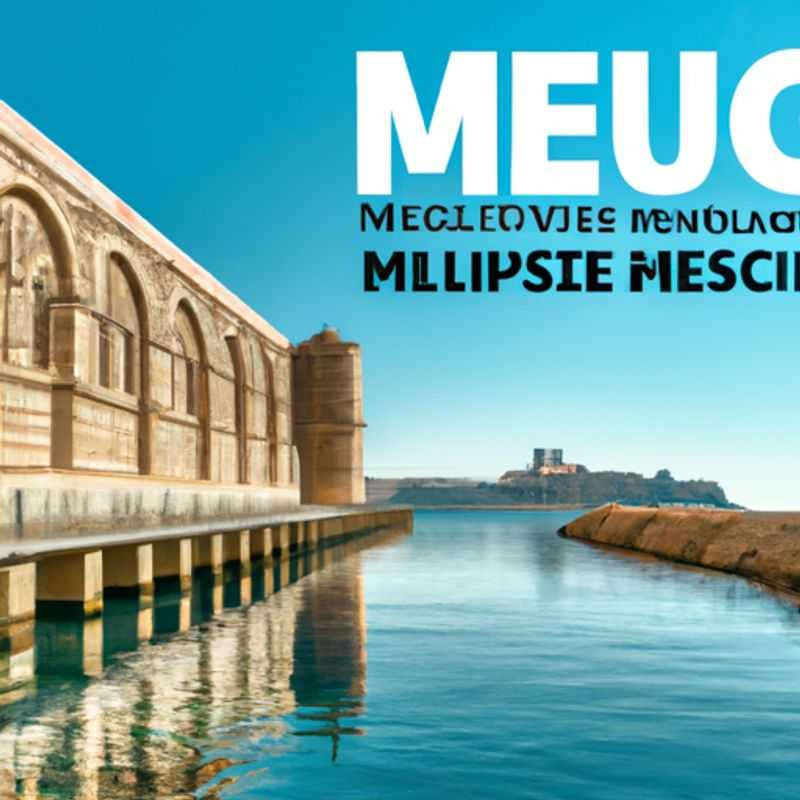 ¡Embárcate en un viaje al corazón de la historia natural en Marsella!